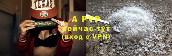 индика Алексин