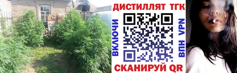 наркота  Элиста  блэк спрут зеркало  Дистиллят ТГК жижа 